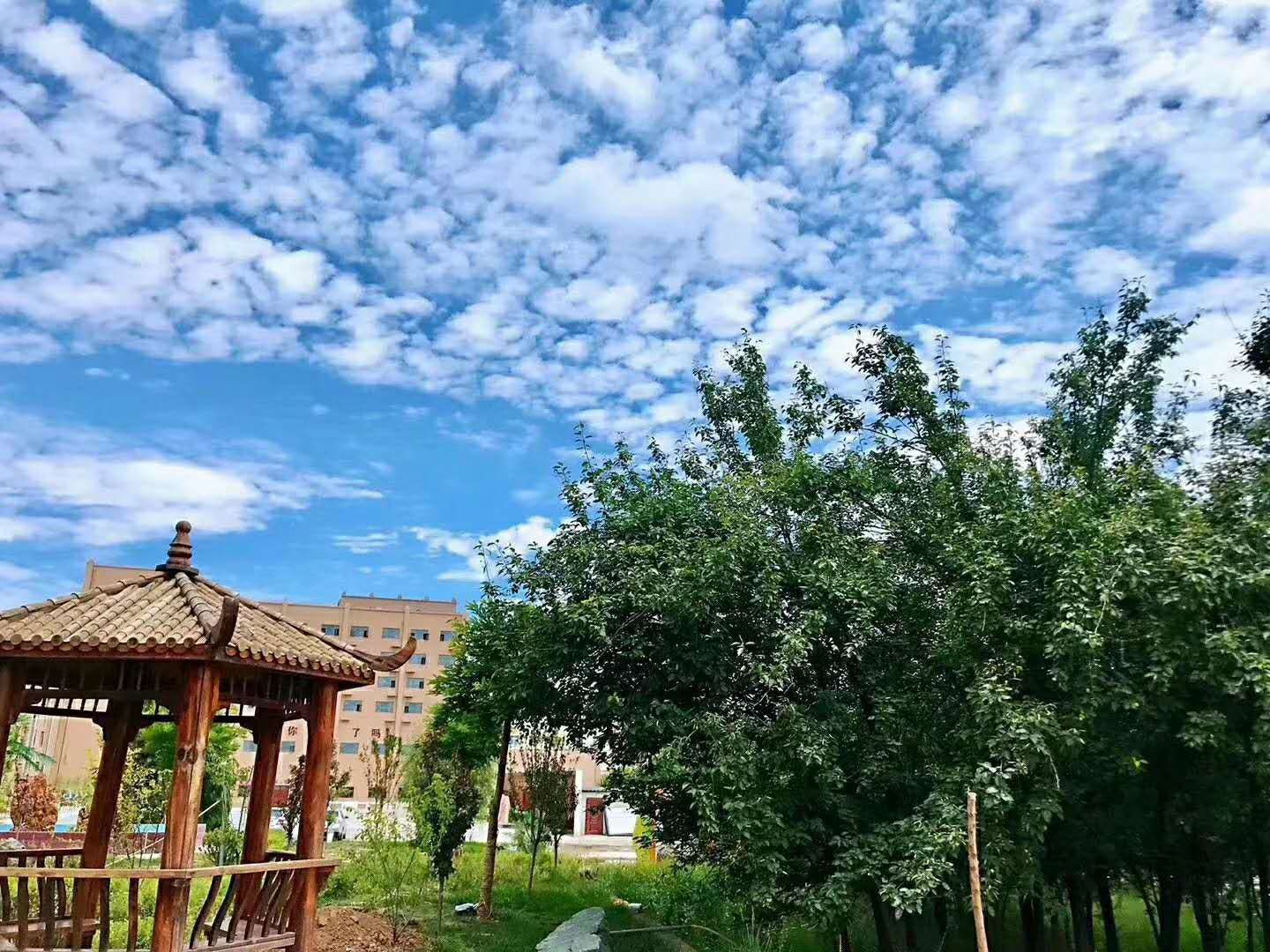 甘肃正规高铁乘务学校解答高铁乘务专业到底值不值得学习？