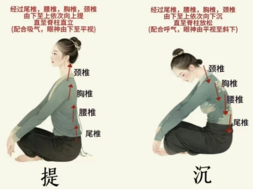 你问我答・师生互助 | 舞蹈实训课常见问题专业解答，帮你扫清训练障碍